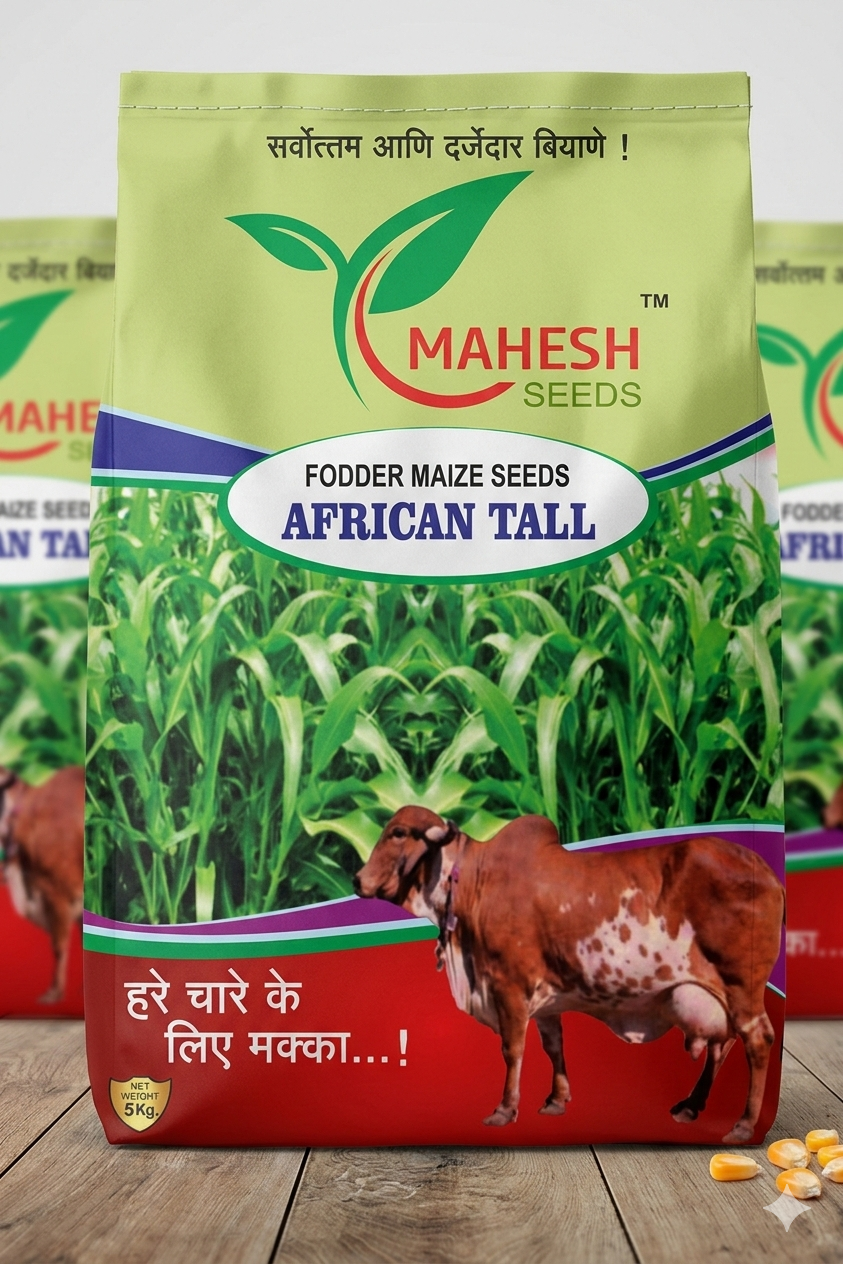 MS-5151 Hybrid Maize