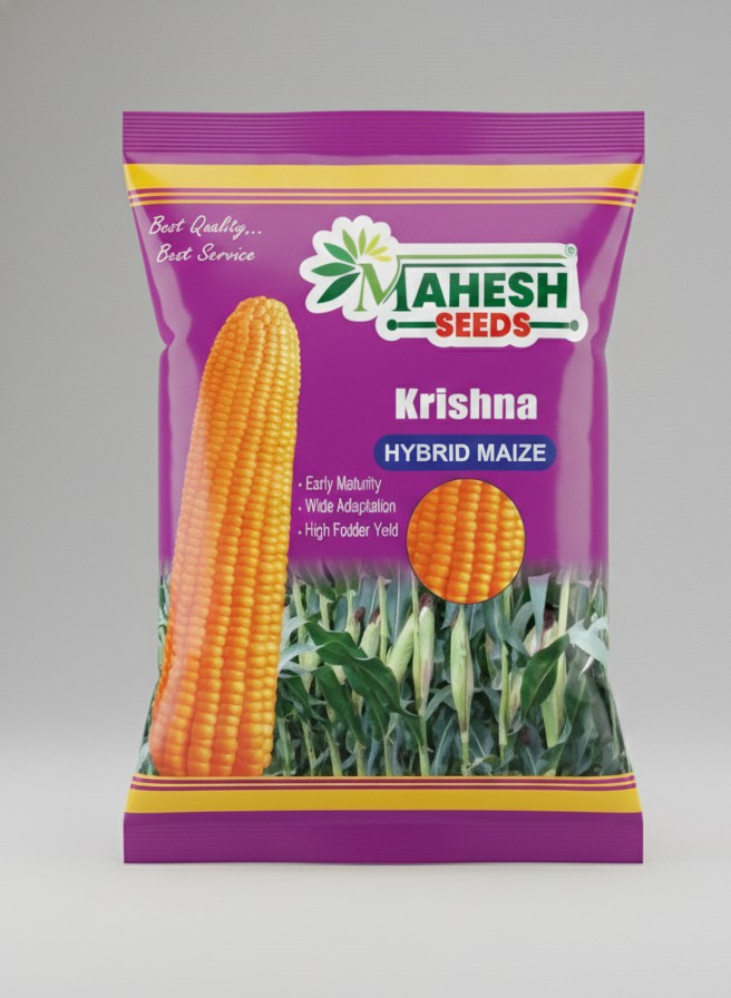 MS-9191 Hybrid Maize